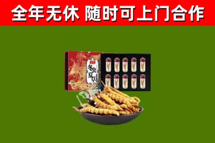 延安烟酒回收冬虫夏草礼盒.jpg
